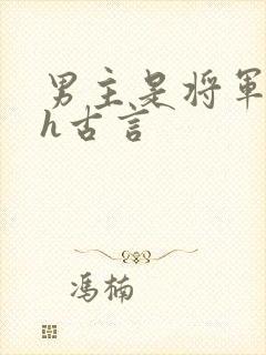 男主是将军的高h古言