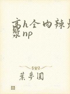 高h全肉辣爆灌浆np