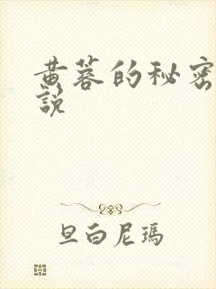 黄蓉的秘密h小说