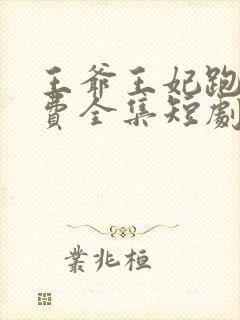 王爷王妃跑了免费全集短剧