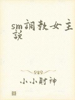 sm调教女主小说