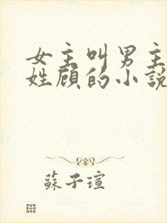 女主叫男主叔叔姓顾的小说封面