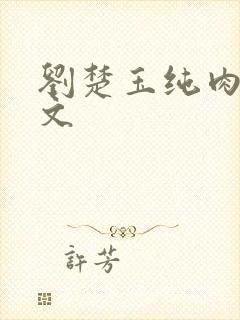 刘楚玉纯肉高h文