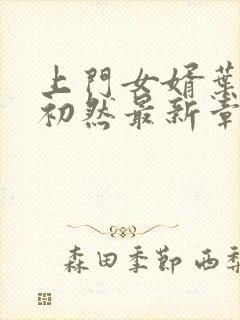 上门女婿叶辰萧初然最新章节免费阅读