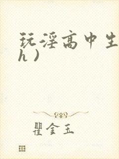 玩淫高中生(高h )