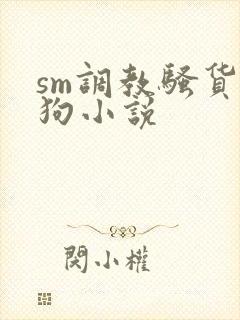 sm调教骚货母狗小说