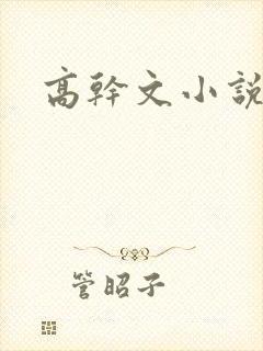 高干文小说啪啪封面