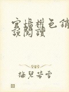 官场权色销魂小说阅读