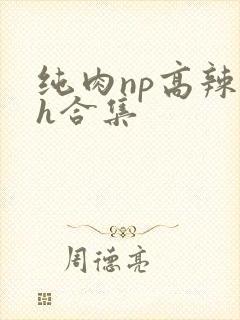 纯肉np高辣文h合集