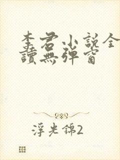 李君小说全文阅读无弹窗