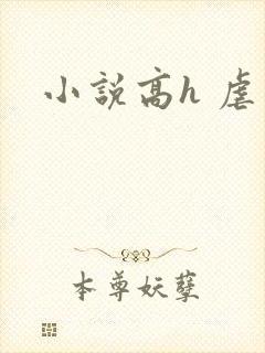 小说高h 虐