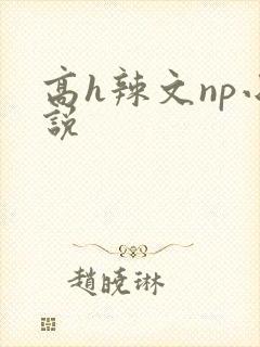 高h辣文np小说
