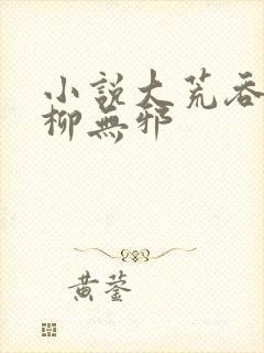 小说大荒吞天诀柳无邪