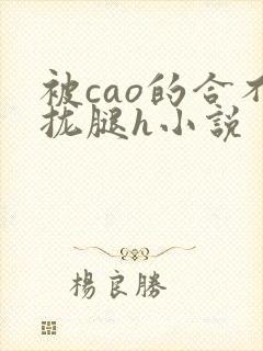 被cao的合不拢腿h小说