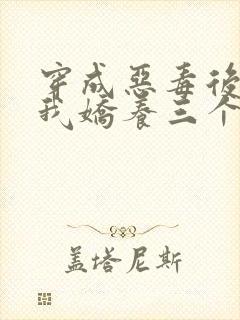 穿成恶毒后娘,我娇养三个小反派主角封面