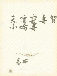 天价宠妻贺总的小娇妻