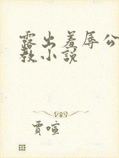 露出羞辱公开调教小说封面