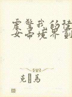 震惊我的徒弟是女帝境界划分