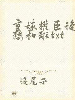 重嫁权臣后一心想和离txt封面