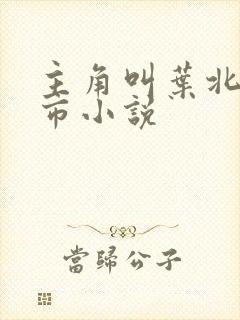 主角叫叶北的都市小说