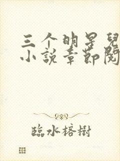 三个明星儿媳妇小说章节阅读免费全文封面