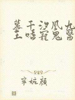 慕千汐凰九夜邪王嗜宠鬼医狂妃无弹窗