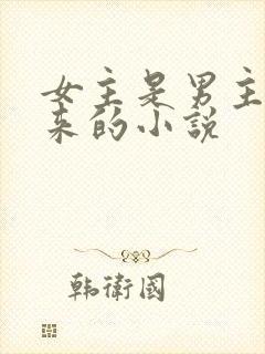 女主是男主买回来的小说封面