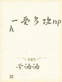 一受多攻np高h