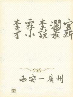 李霖李澜官场奇才小说最新更新