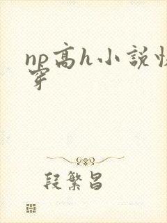 np高h小说快穿