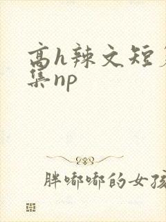 高h辣文短篇合集np