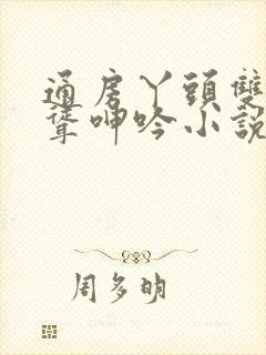 通房丫头双乳高耸呻吟小说