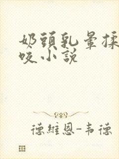 奶头乳晕揉捏啃咬小说