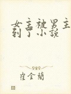 女主被男主们找到了小说