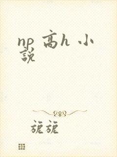 np 高h 小说