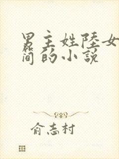 男主姓陆女主姓简的小说封面