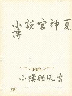 小说官神夏想外传