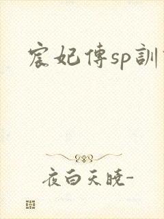 宸妃传sp训诫封面