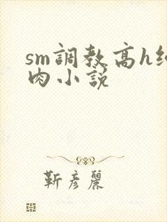 sm调教高h纯肉小说