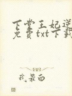 下堂王妃逆袭记免费txt下载