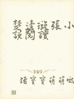 楚清璇张小凡小说阅读