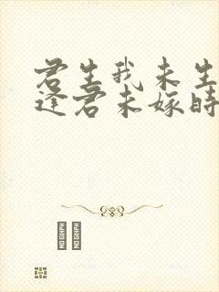 君生我未生恨不逢君未嫁时封面