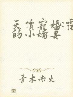 天价宠婚:霍总的小娇妻