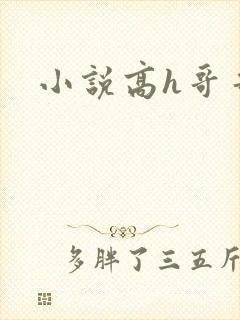 小说高h哥哥
