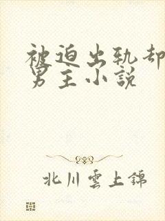 被迫出轨却上瘾男主小说