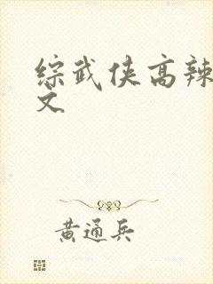 综武侠高辣肉h文封面