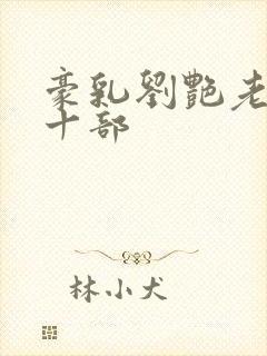 豪乳刘艳老师第十部封面