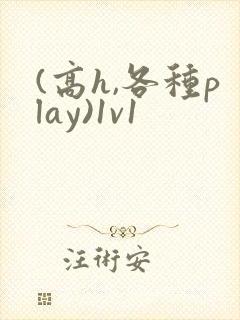 (高h,各种play)1v1