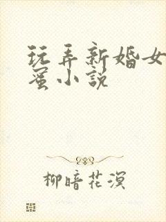 玩弄新婚女友闺蜜小说封面