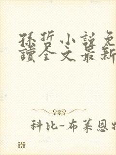 孙哲小说免费阅读全文最新章节封面